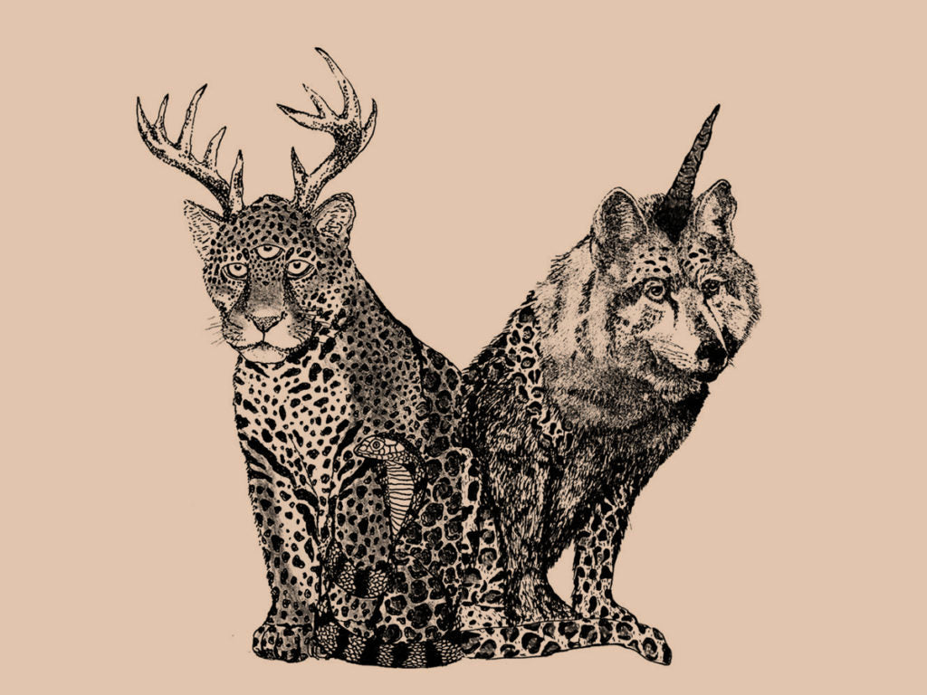 DREAM WORLDS: THE WORK OF DIANA GARCIA