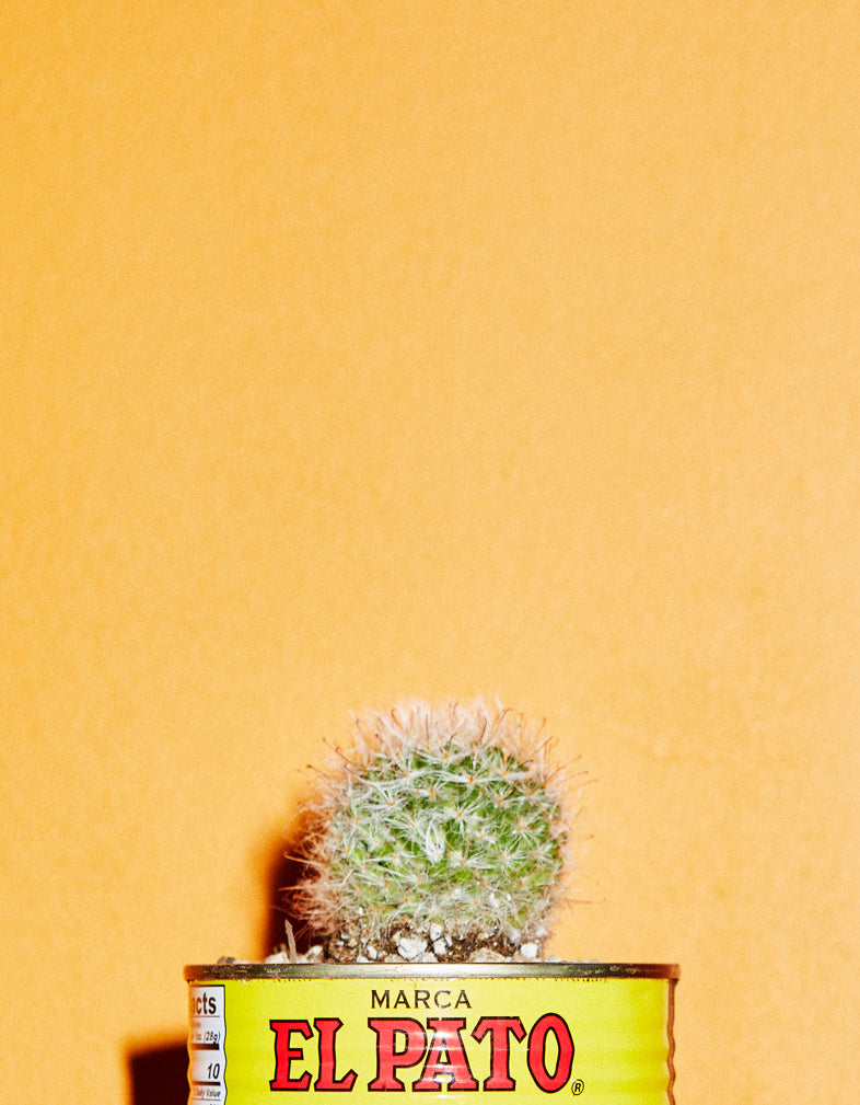 LATINXS WITH PLANTS